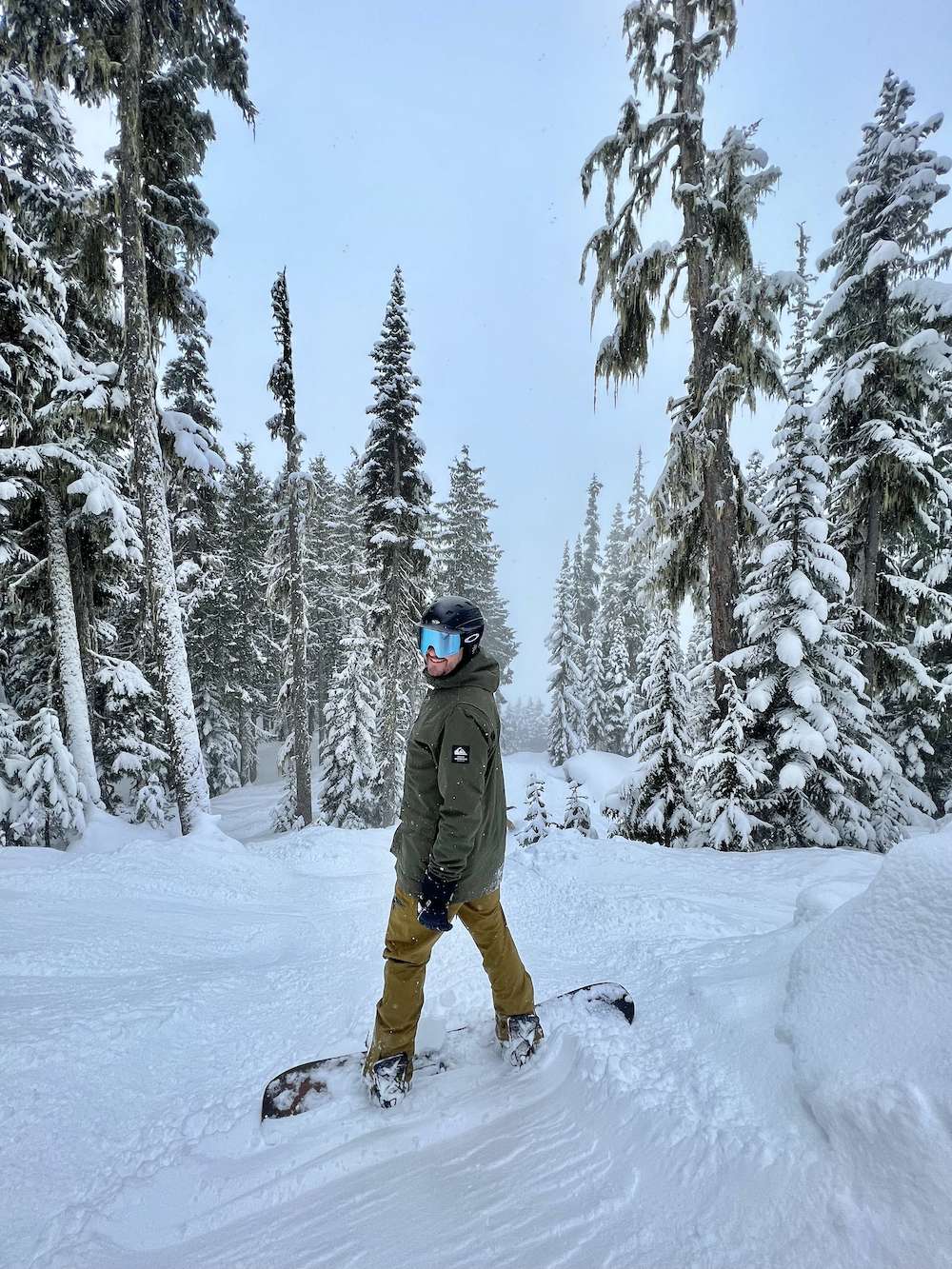 Tree Runs Whistler Ski Resort